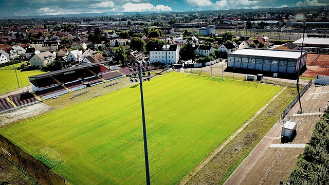 也是对其在 也是对其在