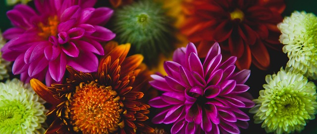 来备受瞩目 来备受瞩目