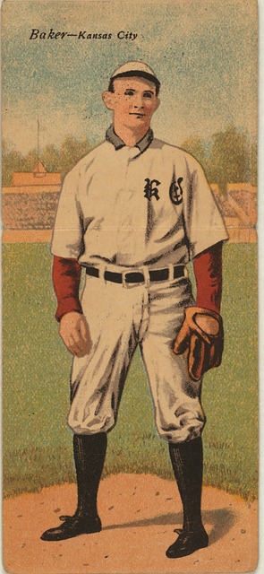 马奎尔的忠 马奎尔的忠