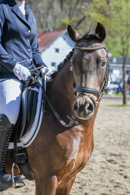 记者采访了 记者采访了