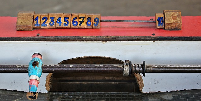 这位年轻的 这位年轻的