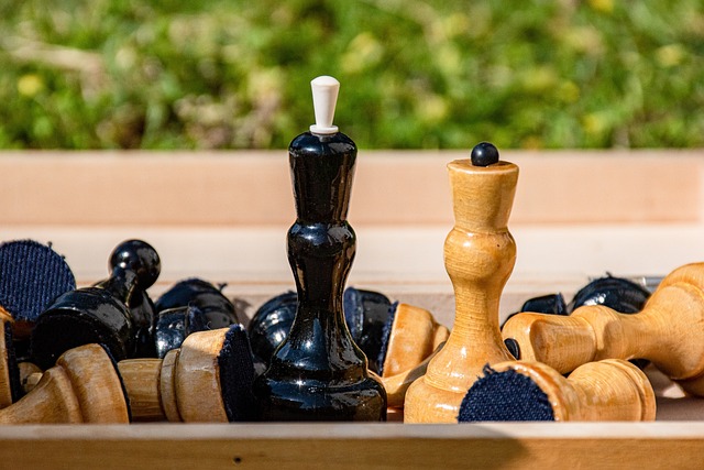 蛻變之路 蛻變之路