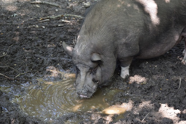 都不愿走 都不愿走